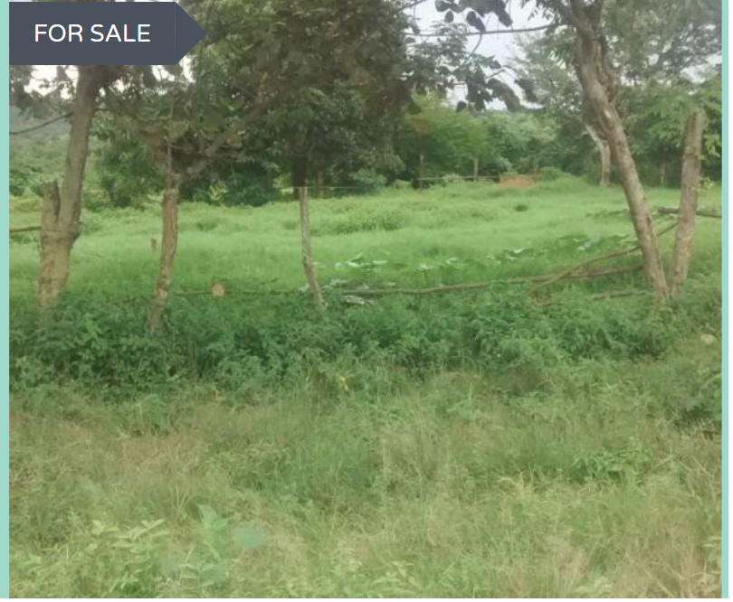 PRIME LAND in Kampala