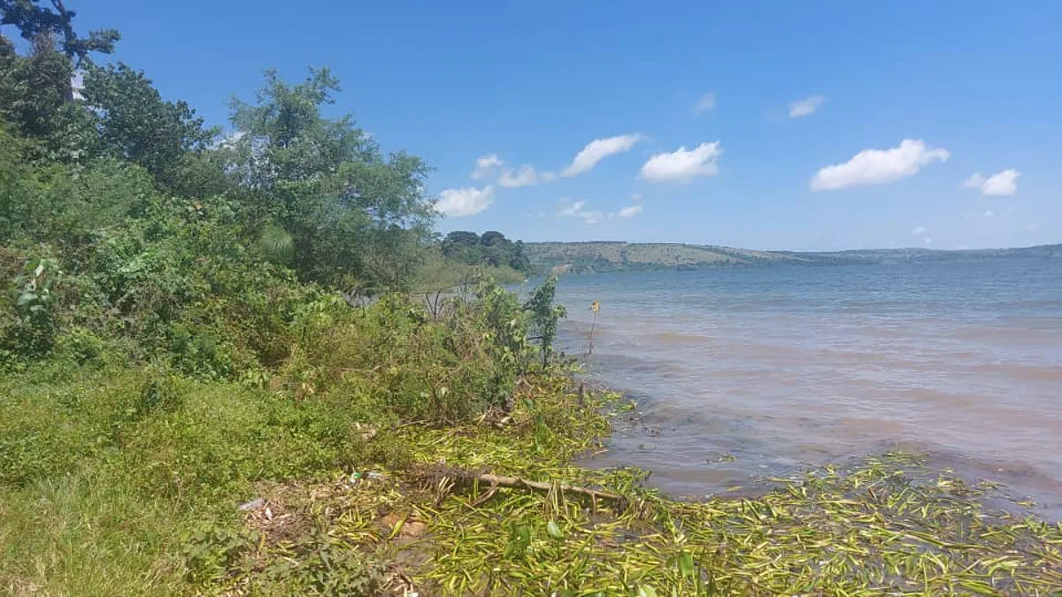 10 acres of Land for Sale in Mukono